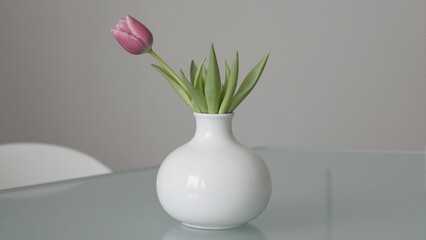 Elegant white vase with pink tulip on glass table soft reflections below