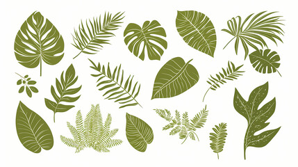 Tropical leaf silhouettes. Frond. Illustration