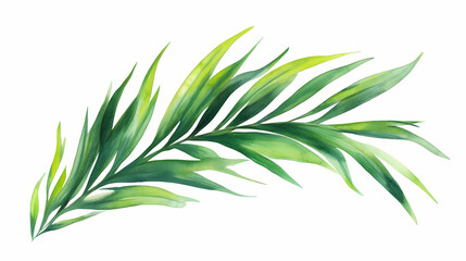 Fototapeta premium Vibrant green fern frond isolated on white background. Frond. Illustration