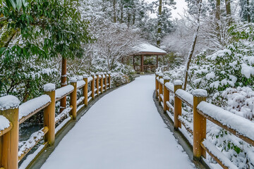 A perspective view of a serene winter pathway surrounded by trees heavily coated in snow, creating a peaceful and picturesque snowy forest scene