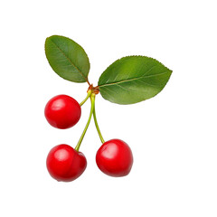 cherry with leaves isolated on transparent background remove png, clipping path