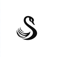 black and white swan