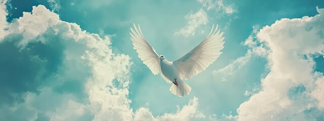 Image of a white dove spreading its wings and flying in the blue sky.