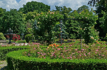 A beautiful relaxation area with a bench, a fountain and multi-colored bushes in bloom in the rose garden, Sofia, Bulgaria 