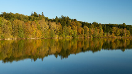 Bucher Stausee mit goldenen Herbstwald, Rainau-Buch, Baden-Württemberg, Deutschland