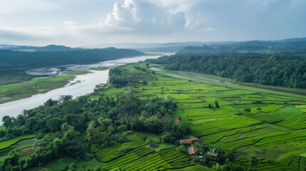 Obraz premium An aerial view of an Assam tea estate, showcasing terraced fields and scenic river backdrops,