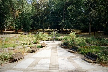 city park in Chomutov in Czechia on 10. September 2024 on color film - blurriness and noise of scanned 35mm film were intentionally left in image