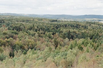Ore mountains in Czechia on 29. September 2024 on color film - blurriness and noise of scanned 35mm film were intentionally left in image
