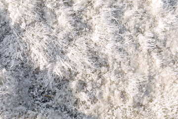 astrakhan region, russia - august 8, 2025: texture salt lake baskunchak, bogdinsko-baskunchaksky...