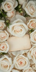 Delicate celestial roses, pristine white petals, blank antique notecard resting amidst them, beautiful, faith