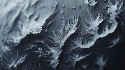 Intricate Frost Patterns On A Dark Surface
