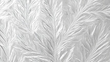 Intricate Frost Patterns On A Winter Window Pane