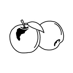 drawing illustrations apple