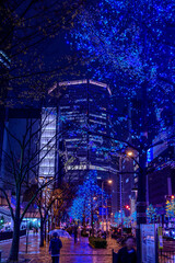 冬の大阪梅田の街並み。イルミネーションやライトに輝く季節