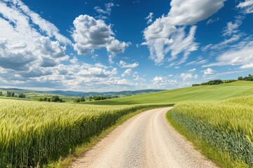 Obraz premium Rural gravel path and verdant wheat fields beneath a cloudy blue sky