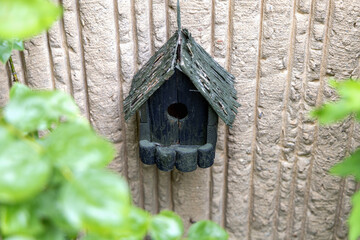 A Charming Wooden Birdhouse beautifully placed against a Textured Wall in your backyard