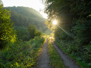 Bad Urach, Germany - October 2nd 2023: Beautiful forest track between the hills towards the rising sun