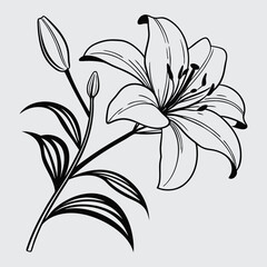 Lily flower image silhouette vector art and illustration