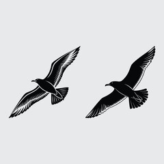  Seagull bird image silhouette vector art and illustration