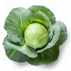 Fototapeta premium Green cabbage head displaying crisp, verdant leaves, showcasing freshness and nutritional value against pristine white backdrop