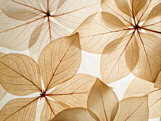 autumn leaves background. leaf, autumn, leaves, nature, pattern, fall, tree, season, plant, seamless, foliage, decoration, vector, design, texture, orange, yellow, color, illustration, floral, brown, 