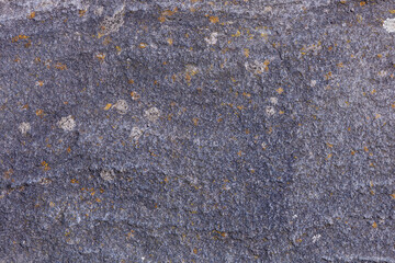 Closeup of a textured rock surface displaying various natural patterns and features