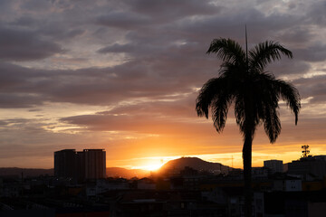 orange sunset over the city with buildings and palmtree