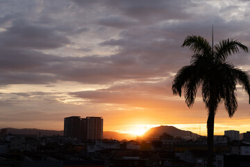 sunset sunrise over the city with buildings and palmtree