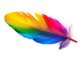 Rainbow Colored Feather Isolated on White