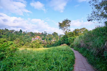 Obraz premium Scenic Jungle Path Leading To Hidden Village Under Blue Sky