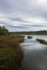Serene Lowcountry marsh