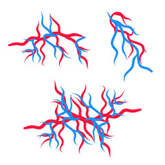 Human blood veins and arteries capillaries bloodstream