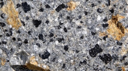 Close Up View Of A Grey Rock With Black And Yellow Inclusions