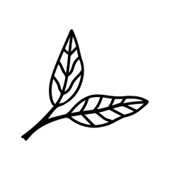 Avocado leaf doodle clipart. Hand drawn summer leaves illustration.