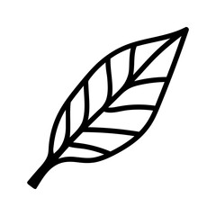 Avocado leaf doodle clipart. Hand drawn summer leaves illustration.