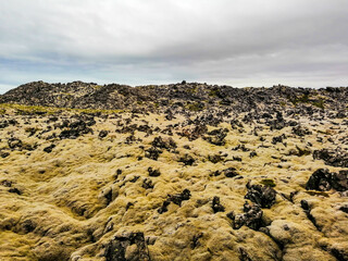 Obraz premium Moss fields, Snaefellsnes peninsula, western Iceland