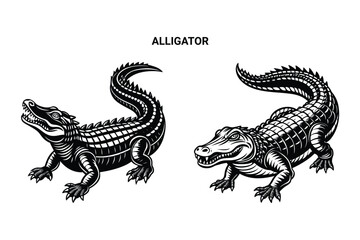 Alligator Silhouette Editable Vector Illustration