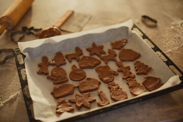 Woman  Baking Christmas Gingerbread Cookies in a Sunny Kitchen 