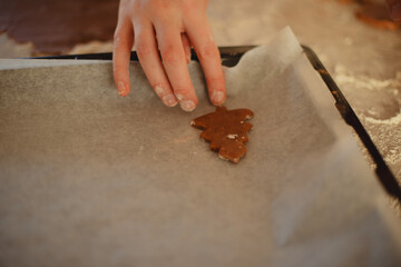 Woman  Baking Christmas Gingerbread Cookies in a Sunny Kitchen 