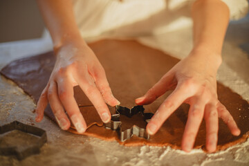 Woman  Baking Christmas Gingerbread Cookies in a Sunny Kitchen 