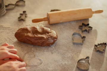 Woman  Baking Christmas Gingerbread Cookies in a Sunny Kitchen 