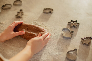 Woman  Baking Christmas Gingerbread Cookies in a Sunny Kitchen 