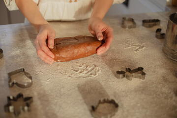 Woman  Baking Christmas Gingerbread Cookies in a Sunny Kitchen 