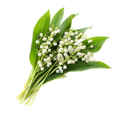 Obraz premium Lily of the Valley Bouquet Spring Flowers Wedding Nature Botany Floral Design Garden