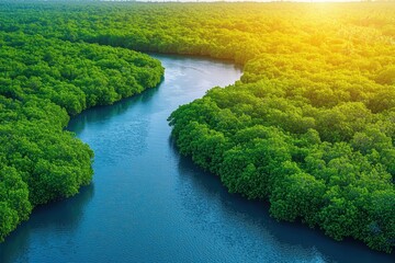 Green waterways intertwine in a lush mangrove forest serene landscape aerial view nature's vibrant ecosystem