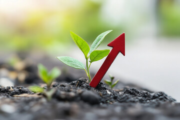 Red arrow showing upward growth, the concept of savings growth, a red arrow showing upward growth on the example of a small plant