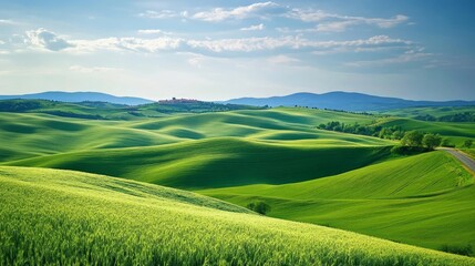 Obraz premium Rolling Green Hills Under Blue Sky with Soft Clouds in Tuscany