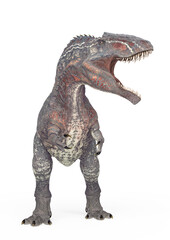 giganotosaurus is angry on white background © DM7