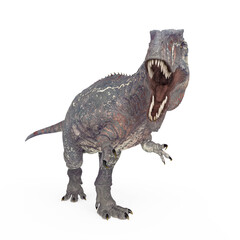 giganotosaurus in action on white background © DM7
