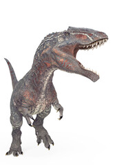 giganotosaurus is calling the others on white background © DM7